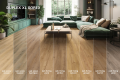 EVG_Bilder_PDZ_DUPLEX-XL-SOREX_2